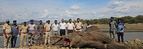 ಗೋಪಿನಾಥಂ ಜಲಾಶಯದಲ್ಲಿ ಮೃತಪಟ್ಟ ಗಂಡಾನೆ. 