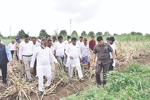 ದೇವರಹಿಪ್ಪರಗಿ ಪಟ್ಟಣದ ಹೊರವಲಯದಲ್ಲಿನ ಉಸ್ಮಾನ ಹಚ್ಯಾಳ ಅವರ ಹೊಲದಲ್ಲಿ ಕಬ್ಬಿನ ಬೆಳೆಯನ್ನು ಸಚಿವ ಡಾ. ಎಂ.ಬಿ. ಪಾಟೀಲ ವೀಕ್ಷಿಸಿದರು. ಜಿಲ್ಲಾಧಿಕಾರಿ ಆನಂದ ಕೆ., ಜಿಪಂ ಸಿಇಒ ರಿಷಿ ಆನಂದ, ಪ್ರಕಾಶ ವಡ್ಡರ, ಶಿವನಗೌಡ ಪಾಟೀಲ ಮತ್ತಿತರರಿದ್ದರು.
