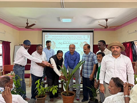 ಸುತ್ತೂರಿನ ಐಸಿಎಆರ್ ಜೆಎಸ್‌ಎಸ್ ಕೃಷಿ ವಿಜ್ಞಾನ ಕೇಂದ್ರದಲ್ಲಿ ವಿಶ್ವ ತೆಂಗು ದಿನಾಚರಣೆ ಅಂಗವಾಗಿ ಬುಧವಾರ ಹಮ್ಮಿಕೊಂಡಿದ್ದ  ಕಾರ್ಯಕ್ರಮವನ್ನು ಡಾ. ಹಂಚಿನಮನಿ ಉದ್ಘಾಟಿಸಿದರು. ವಿಜ್ಞಾನಿಗಳಾದ ಡಾ. ಸಿದ್ದಪ್ಪ, ನಾಗೇಶ್ ಬಾಬು, ಡಾ. ರಾಮೇಗೌಡ, ಡಾ. ರವೀಂದ್ರ, ಡಾ. ವಿನಯ್, ಡಾ. ಪ್ರಸಾದ್, ಡಾ. ದೀಪಕ್ ಹಾಜರಿದ್ದರು. 