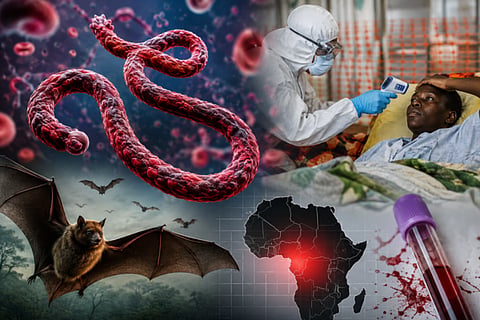 EbolaVirus 