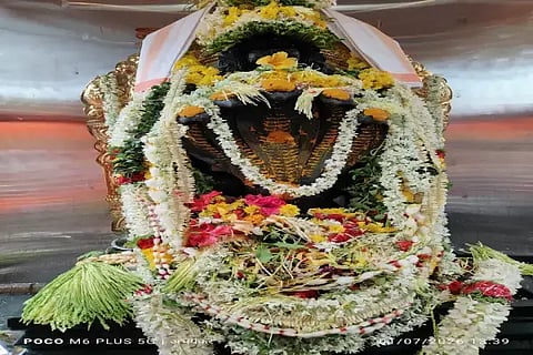 ಪ್ರತಿಷ್ಠಾಪನೆಗೊಂಡ ನಾಗದೇವರ ವಿಗ್ರಹ.