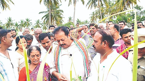 ದೇವರಹಳ್ಳಿಯ ರೈತರ ಜಮೀನಿಗೆ ಭೇಟಿ ನೀಡಿದ ಸಚಿವ ಎನ್.ಚಲುವರಾಯಸ್ವಾಮಿ, ಶಾಸಕ ಕೆ.ಎಂ.ಉದಯ್  ಕಬ್ಬಿನ ಬೆಳೆಗಳು ಒಣಗಿರುವುದನ್ನು ವೀಕ್ಷಿಸಿದರು. ಡಾ.ಕುಮಾರ, ಕೆ.ಆರ್.ನಂದಿನಿ, ಡಾ.ಶೋಭಾರಾಣಿ ಇತರರಿದ್ದರು. 