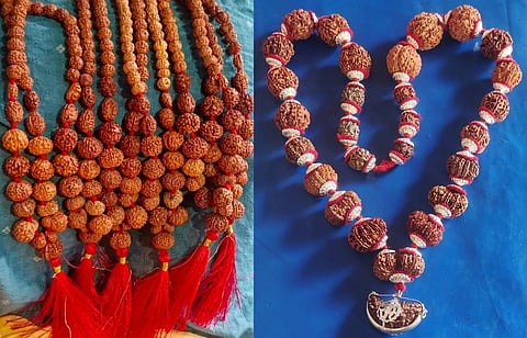 ರುದ್ರಾಕ್ಷಿ ಮಾರಾಟ, ಪ್ರದರ್ಶನ
