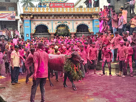 ಅದ್ಧೂರಿಯಾಗಿ ನಡೆದ ಕೋಣ ಬಿಡುವ ಕಾರ್ಯಕ್ರಮ