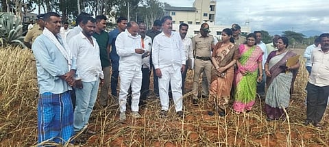 ಕೊಳ್ಳೇಗಾಲ ವಿಧಾನಸಭಾ ಕ್ಷೇತ್ರ ವ್ಯಾಪ್ತಿಯ ದೇಶವಳ್ಳಿ ಸಮೀಪದ ಜಮೀನಿನಲ್ಲಿ ಸಚಿವ ಸಿ.ಪುಟ್ಟರಂಗಶೆಟ್ಟಿ, ಶಾಸಕ ಎ.ಆರ್.ಕೃಷ್ಣಮೂರ್ತಿ ಬರ ಪರಿಶೀಲನೆ ಮಾಡಿದರು. ಕಾಡಾ ಅಧ್ಯಕ್ಷ ಪಿ.ಮರಿಸ್ವಾಮಿ, ಡಿಸಿ ಶ್ರೀರೂಪಾ, ಜಿಪಂ ಸಿಇಒ ಮೋನಾರೋತ್ ಇತರರು ಇದ್ದರು.