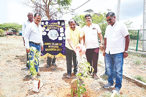 ಸಾಲುಮರದ ತಿಮ್ಮಕ್ಕ ಉದ್ಯಾನದಲ್ಲಿ ಮೈಸೂರು ಲಯನ್ಸ್ ಗಾರ್ಡನ್ ಸಿಟಿ ಸಂಸ್ಥೆಯಿಂದ ಆಯೋಜಿಸಿದ್ದ ಕಾರ್ಯಕ್ರಮದಲ್ಲಿ ಡಾ.ಇ.ಸಿ.ನಿಂಗರಾಜ ಗೌಡ ಗಿಡ ನೆಟ್ಟು ನೀರೆರೆದರು. ವಿ.ಪಿ.ಲಕ್ಷ್ಮೀನಾರಾಯಣ್, ಸಿ.ಡಿ. ಕೃಷ್ಣ, ಎನ್.ಶಂಕರ್, ನಿತೀನ್‌ಕುಮಾರ್ ಇದ್ದರು.