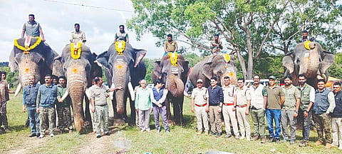 ಕಾಡಾನೆಗೆ  ರೇಡಿಯೋ ಕಾಲರ್ ಅಳವಡಿಸುವ ಕಾರ್ಯಾಚರಣೆ ಪ್ರಾರಂಭಕ್ಕೂ ಮುನ್ನ ತಾಲೂಕಿನ ಬಿಕ್ಕೋಡು ಆನೆ ಕ್ಯಾಂಪ್‌ನಲ್ಲಿ ಸಾಕಾನೆಗಳಿಗೆ  ಅರಣ್ಯ ಇಲಾಖೆ ಅಧಿಕಾರಿಗಳು ಮತ್ತು ಸಿಬ್ಬಂದಿ ಪೂಜೆ ಸಲ್ಲಿಸಿದರು. 