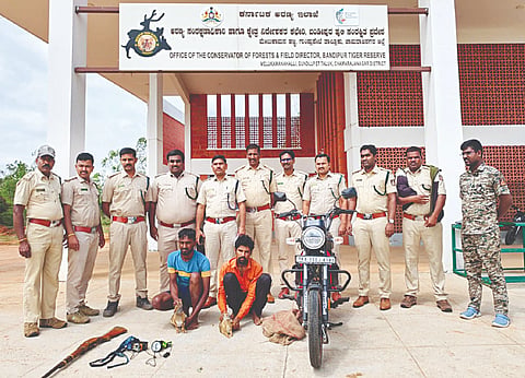 ಗುಂಡ್ಲುಪೇಟೆ ಅರಣ್ಯ ಇಲಾಖೆಯ ಎಸ್‌ಟಿಪಿಎಫ್ ಸಿಬ್ಬಂದಿ ಇಬ್ಬರು ವನ್ಯಜೀವಿ ಬೇಟೆಗಾರರನ್ನು ಮಾಲು ಸಮೇತ ಬಂಧಿಸಿದರು. ಮಂಂಜುನಾಥ್, ವೆಂಕಟೇಶ್, ಜ್ಞಾನಶೇಖರ್, ಕಾರ್ತಿಕ್ ಯಾದವ್, ಅಮರ್, ಆನಂದ್, ರವಿಕುಮಾರ್, ವಿನಯ್, ಚಂದ್ರಶೇಖರ್, ಯಾಸೀನ್, ನಾರಾಯಣ್ ಇದ್ದರು.