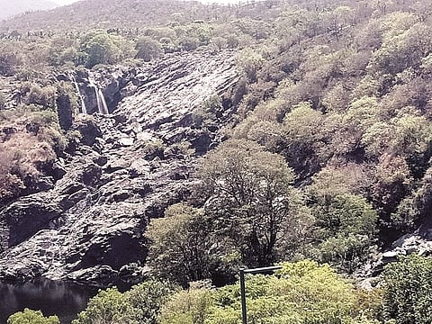 ನೀರಿಲ್ಲದೆ ಬಣಗುತ್ತಿರುವ ಭರಚುಕ್ಕಿ ಜಲಪಾತ.