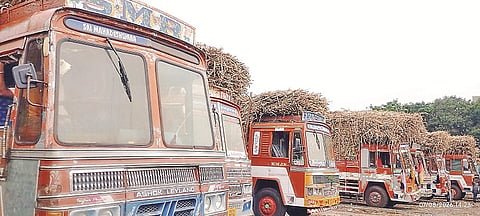  ಕುಂತೂರು ಬಣ್ಣಾರಿ ಅಮ್ಮನ್ ಸಕ್ಕರೆ ಕಾರ್ಖಾನೆಯಲ್ಲಿ ಸಕಾಲಕ್ಕೆ ಕಬ್ಬು ಅರೆಯದ ಕಾರಣ ಕಾರ್ಖಾನೆ ಮುಂಭಾಗ ಲಾರಿಗಳು ಸಾಲುಗಟ್ಟಿ ನಿಂತಿರುವುದು.  