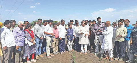 ಹಡಲಗೇರಿ ಗ್ರಾಮದ ಸಣ್ಣಸಿದ್ದಪ್ಪ ಹರಿಂದ್ರಾಳ ಅವರ ಹೊಲದಲ್ಲಿ ಬಿತ್ತನೆ ಮಾಡಿದ್ದ ತೊಗರಿ ಬೆಳೆಯನ್ನು ಮಂಗಳವಾರ ಶಾಸಕ ಸಿ.ಎಸ್.ನಾಡಗೌಡ ಕಷಿ ಅಧಿಕಾರಿಗಳು, ತೋಟಗಾರಿಕೆ ಅಧಿಕಾರಿಗಳೊಂದಿಗೆ ವೀಕ್ಷಣೆ ಮಾಡಿದರು.  ಎಂ.ಎಸ್.ಅರಕೇರಿ, ಸಂಗನಗೌಡ ಬಿರಾದಾರ, ಎಸ್.ಡಿ.ಭಾವಿಕಟ್ಟಿ ಮತ್ತಿತರರಿದ್ದರು.