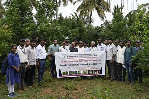 ಹೊಸಕೋಟೆ ತಾಲೂಕಿನ ನಂದಗುಡಿ ಗ್ರಾಪಂ ವ್ಯಾಪ್ತಿಯ ಎಸ್​.ವಡ್ಡಹಳ್ಳಿಯ ರೈತ ಎನ್​.ರವೀಂದ್ರ ಅವರ ಅವಕಾಡೊ ತೋಟದಲ್ಲಿ ಹಮ್ಮಿಕೊಂಡಿದ್ದ ಕ್ಷೇತ್ರೋತ್ಸವದಲ್ಲಿ ತೋಟಗಾರಿಕಾ ಸಂಶೋಧನಾ ಸಂಸ್ಥೆಯ ಯೋಜನಾ ಸಂಯೋಜಕ ಡಾ.ಪ್ರಕಾಶ್​ ಪಾಟೀಲ, ಕೊಡಗಿನ ಚಟ್ರಳ್ಳಿ ವಿಜ್ಞಾನಿ ಡಾ.ಜಿ.ನಯನ್​ ದೀಪಕ್​ ಇತರರು ಇದ್ದರು.