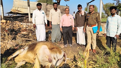 ತಾವರಗೇರಾ ಸಮೀಪದ ಮೆಣೇಧಾಳ ಗ್ರಾಮದ ಜಮೀನಿನಲ್ಲಿ ನಡೆದ ಬೆಂಕಿ ಅವಘಡದಲ್ಲಿ 2 ಜಾನುವಾರುಗಳು ಸತ್ತಿವೆ. ಎಎಸ್‌ಐ ಶಿವಪುತ್ರಪ್ಪ, ಡಾ.ಮಾಗಿ, ಪೊಲೀಸ್ ಸಿಬ್ಬಂದಿ ಎಂ.ಡಿ.ರಫಿ, ಕಂದಾಯ ನಿರೀಕ್ಷಕ ಶರಣಪ್ಪ ದಾಸರ ಇದ್ದರು.