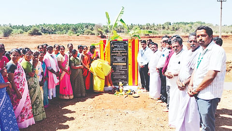 Revival of Purasamma lake