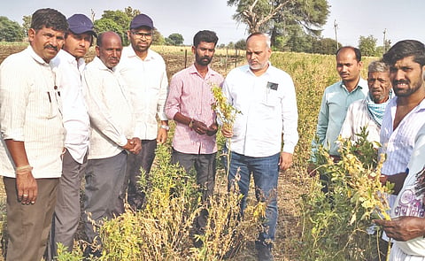  ಚಿಂಚೋಳಿ ತಾಲೂಕಿನ ಗಾರಂಪಳ್ಳಿಗೆ ಕೃಷಿ ಇಲಾಖೆ ಜಂಟಿ ನಿರ್ದೇಶಕ ಸಮದ್​ ಪಟೇಲ್​ ಭೇಟಿ ನೀಡಿ ಕಸ್ಕೊಟಾ ಕಳೆ ತಳಿಯನ್ನು ವೀಕ್ಷಿಸಿದರು. ವೀರಶೆಟ್ಟಿ ರಾಠೋಡ್​, ಅಭಿಲಾಷ ಸುಬೇದಾರ, ಇಮ್ರಾನ್​ ಅಲಿ, ಗೋಪಾಲ ಗಾರಂಪಳ್ಳಿ ಇತರರಿದ್ದರು. 1103 ಚಿಂಚೋಳಿ 01(ಎ)/ ಕಸ್ಕೊಟಾ ತಳಿಯಿಂದ ರೈತರು ಅನುಭವಿಸುತ್ತಿರುವ ಸಮಸ್ಯೆ ಕುರಿತು ವಿಜಯವಾಣಿ ದಿನಪತ್ರಿಕೆ  ಮಾ.6ರಂದು ಪ್ರಕಟಿಸಿದ್ದ ವಿಶೇಷ ವರದಿ.