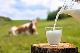 Rs 2 hike in milk announced by Shri