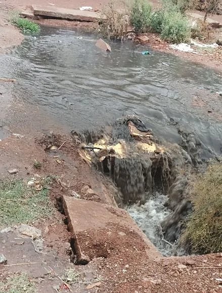 ಧಗೆಗೆ ತಂಪೆರೆದ ವರುಣ rain