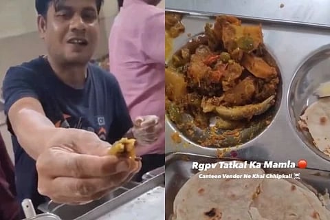  Lizard in meals (ಚಿತ್ರ X)