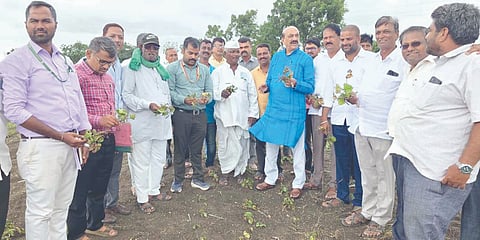 ಬಿಜಗುಪ್ಪಿ ಗ್ರಾಮದ ಜಮೀನುಗಳಲ್ಲಿ ಶಾಸಕ ಅಶೋಕ ಪಟ್ಟಣ ಹಾನಿಗೊಳಗಾದ ಬೆಳೆ ವೀಕ್ಷಿಸಿದರು. ಶ್ರೀನಿವಾಸ ಚಿಮ್ಮಲಗಿ, ಪ್ರಕಾಶ ಮುಗಳಖೋಡ, ಶಿದ್ಲಿಂಗಪ್ಪ ಸಿಂಗಾರಗೊಪ್ಪ, ಬಸನಗೌಡ ಪ್ಯಾಟಿಗೌಡ್ರ, ಕೃಷ್ಣಗೌಡ ಪಾಟೀಲ ಇತರರಿದ್ದರು.