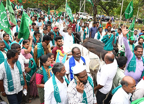 ಮೈಸೂರು ತಾಲೂಕು ಗುಡುಮಾದನಹಳ್ಳಿ ಬಳಿ ನಿಮ್ಹಾನ್ಸ್ ಘಟಕ ನಿರ್ಮಿಸುವುದನ್ನು ವಿರೋಧಿಸಿ ವಿವಿಧ ಸಂಘಟನೆಗಳಿಂದ ಜಿಲ್ಲಾ ಪಂಚಾಯಿತಿ ಕಚೇರಿ ಆವರಣದಲ್ಲಿ ಜಾನುವಾರುಗಳೊಂದಿಗೆ ಪ್ರತಿಭಟನೆ ನಡೆಸಲಾಯಿತು. 