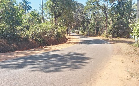  ತಲ್ಲೂರು- ನೇರಳಕಟ್ಟೆ- ಆಜ್ರಿ- ಸಿದ್ದಾಪುರ ಮುಖ್ಯ ರಸ್ತೆಯ ಅಪಾಯಕಾರಿ ತಿರುವು.