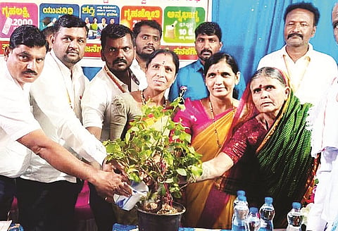 ಕನಕಗಿರಿ ತಾಲೂಕಿನ ಚಿಕ್ಕಮಾದಿನಾಳ ಗ್ರಾಪಂನಲ್ಲಿ ಗ್ಯಾರಂಟಿ ಯೋಜನೆಯ ಪ್ರಗತಿ ಪರಿಶೀಲನಾ ಸಭೆಯನ್ನು ಹಜರತ್ ಹುಸೇನ್ ಉದ್ಘಾಟಿಸಿದರು. ಯೋಜನಾಧಿಕಾರಿ ಡಾ.ಹುಲುಗಪ್ಪ, ಗ್ರಾಪಂ ಅಧ್ಯಕ್ಷೆ ಹನುಮವ್ವ ವಡ್ರಕಲ್, ಉಪಾಧ್ಯಕ್ಷೆ ಮಲ್ಲಮ್ಮ ಮಾಮಳ್ಳಿ ಇತರರಿದ್ದರು.