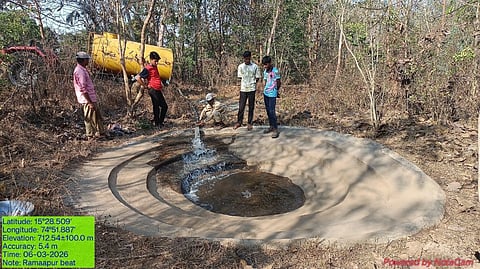 Drinking water system for wildlife