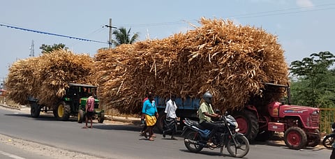 ಹನೂರಿನ ರಾಮಾಪುರ ಭಾಗದ ರೈತರು ಜಾನುವಾರುಗಳಿಗಾಗಿ ಖರೀದಿಸಿದ ಮೇವನ್ನು ಟ್ಯ್ರಾಕ್ಟರ್ ಮೂಲಕ ಕೊಂಡೊಯ್ಯುತ್ತಿರುವುದು.