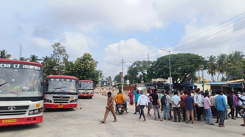 Bus