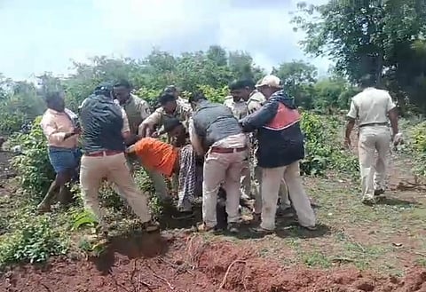 haveri-shiggavi-forest, Occupacy, 