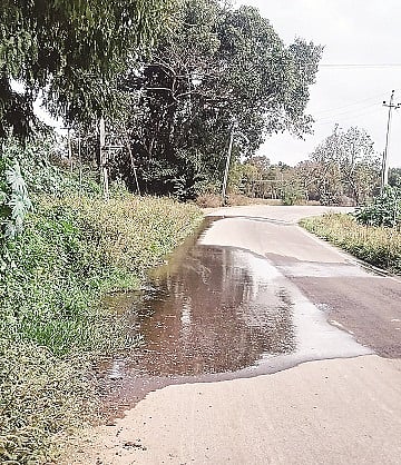 ಗುಂಡ್ಲುಪೇಟೆ ತಾಲೂಕಿನ ಚಿಕ್ಕತುಪ್ಪೂರು ಚನ್ನಂಜಯ್ಯನಹುಂಡಿ ರಸ್ತೆ ಮೇಲೆ ಕೊಳಚೆ ನೀರು ಹರಿಯುತ್ತಿರುವುದು.