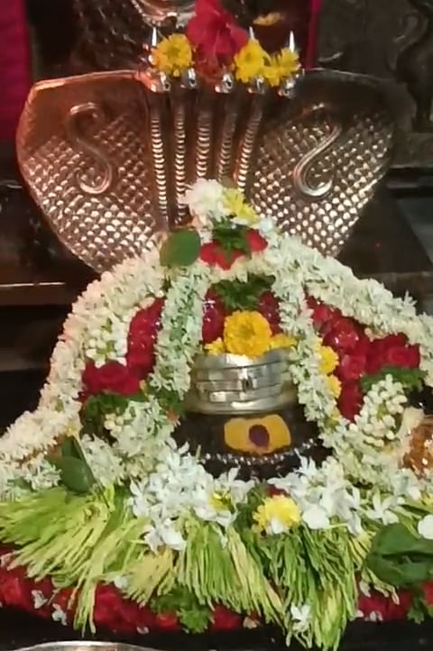 ಬುಕ್ಕಸಾಗರದ ಏಳು ಹೆಡೆ ನಾಗಪ್ಪಗೆ ವಿಶೇಷ ಅಲಂಕಾರ ಮಾಡಲಾಯಿತು.