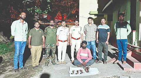 ಗುಂಡ್ಲುಪೇಟೆ ತಾಲೂಕಿನ ಕೂತನೂರಿನಲ್ಲಿ ಜಿಂಕೆ ಮಾಂಸ ಮಾರಾಟ ಮಾಡುತ್ತಿದ್ದ ಆರೋಪಿಯನ್ನು ಬಫರ್ ವಲಯದ ಅರಣ್ಯಾಧಿಕಾರಿಗಳು ಬಂಧಿಸಿದ್ದಾರೆ.
