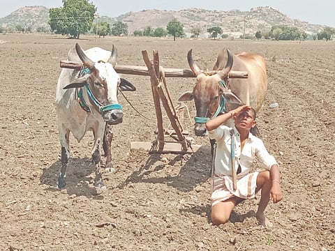 ಯಾದಗಿರಿ ಜಿಲ್ಲೆಯ ಪಸ್​ಪುಲ್​ ಗ್ರಾಮದ ರೈತ ತನ್ನ ಹೊಲದಲ್ಲಿ ಬಿತ್ತನೆ ಮಾಡುತ್ತ ಮಳೆಗಾಗಿ ಮುಗಿಲು ನೋಡುತ್ತಿರುವುದು.