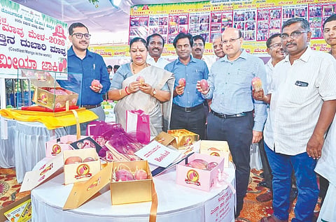 ಕೊಪ್ಪಳದಲ್ಲಿ ಆಯೋಜಿಸಿರುವ ಮಾವು ಮೇಳಕ್ಕೆ ವಿಪ ಸದಸ್ಯೆ ಹೇಮಲತಾ ನಾಯಕ ಮಂಗಳವಾರ ಚಾಲನೆ ನೀಡಿದರು. ಡಿಸಿ ಡಾ.ಸುರೇಶ ಬಿ.ಇಟ್ನಾಳ, ಜಿಪಂ ಸಿಇಒ ವರ್ಣಿತ್ ನೇಗಿ, ತೋಟಗಾರಿಕೆ ಇಲಾಖೆ ಜಂಟಿ ನಿರ್ದೇಶಕ ಕೃಷ್ಣ ಉಕ್ಕುಂದ ಇದ್ದರು. 