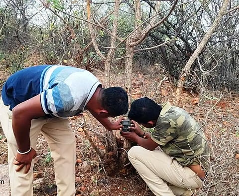 ಅರಣ್ಯ ಇಲಾಖೆ ಅಧಿಕಾರಿಗಳು ಸ್ಥಳಕ್ಕೆ ಭೇಟಿ 