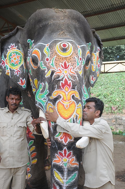  ಅಭಿಮನ್ಯು ಹಾಗೂ ಮಾವುತ ವಸಂತ 