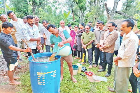 ಬಾಳೆಹೊನ್ನೂರು ಸಮೀಪದ ಬಾಳೆಗದ್ದೆ ಗ್ರಾಮದಲ್ಲಿ ಜೀವಾಮೃತ ತಯಾರಿಯಕೆಯ ಬಗ್ಗೆ ಪ್ರಾತ್ಯಕ್ಷತೆ ನೀಡಲಾಯಿತು.