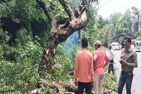 ಜೋಗ ಜಲಪಾತದ ರಸ್ತೆಯಲ್ಲಿ ಅಡ್ಡಲಾಗಿ ಬೆಳೆದ ಹೊಂಗೆ ಮರವನ್ನು ತೆರವು ಮಾಡುತ್ತಿರುವುದು. ಎಂ.ಕೆ.ಸುರೇಶ್, ಮಂಜುನಾಥ್ ಇತರರಿದ್ದರು.