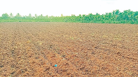 ಆನಗೋಡು ಹೋಬಳಿ ನೇರ್ಲಿಗೆ ಸಮೀಪ ಮುಂಗಾರು ಹಂಗಾಮಿಗೆ ಬಿತ್ತನೆ ಮಾಡಲು ಜಮೀನುಗಳನ್ನು ಹದಗೊಳಿಸಿಕೊಂಡಿರುವುದು. rain