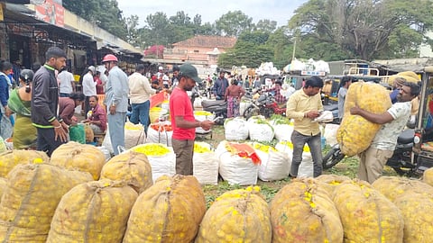 ಚಿತ್ರ ೧೩ ಕೆ.ಎಲ್.ಆರ್. ೦೧ : ಕೋಲಾರದ ಹೂವಿನ ಮಾರುಕಟ್ಟೆಯಲ್ಲಿ ಚೆಂಡು ಹೂವು ಕ್ವಿಂಟಾಲ್‌ಗಟ್ಟಲೆ ಮಾರುಕಟ್ಟೆಗೆ ಬಂದಿರುವುದು. 