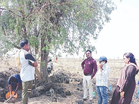 ಸಿರಗುಪ್ಪ ತಾಲೂಕಿನ ಬಗ್ಗೂರು ಗ್ರಾಮ ಪಂಚಾಯಿತಿ ವ್ಯಾಪ್ತಿಯ ಶ್ರೀನಗರ ಕ್ಯಾಂಪಿನಲ್ಲಿ ನಾಲಾ ಹೂಳೆತ್ತುವ ಕಾಮಗಾರಿಯನ್ನು ಉದ್ಯೋಗ ಖಾತ್ರಿ ಯೋಜನೆ ಸಹಾಯಕ ನಿರ್ದೇಶಕ ಮನೋಹರ್ ಪರಿಶೀಲಿಸಿದರು. 