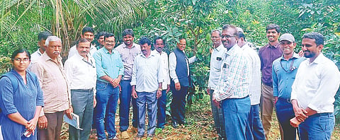 ಸೋಮವಾರಪೇಟೆ ಸಮೀಪದ ಚೆಟ್ಟಳ್ಳಿ ಕೇಂದ್ರೀಯ ತೋಟಗಾರಿಕಾ ಪ್ರಾಯೋಗಿಕ ಕೇಂದ್ರದಲ್ಲಿ ಅಭಿವೃದ್ಧಿಪಡಿಸಲಾದ ಬೆಣ್ಣೆ ಹಣ್ಣಿನ ಸುಧಾರಿತ ತಳಿಗಳ ಪರಿಚಯಕ್ಕಾಗಿ ಹೊಸಕೋಟೆ ತಾಲೂಕಿನ ಎಸ್.ವಡ್ಡಳ್ಳಿ ಗ್ರಾಮದ ಪ್ರಗತಿಪರ ರೈತ ಎಸ್. ರವೀಂದ್ರ ಅವರ ತೋಟದಲ್ಲಿ ನಡೆದ ಕ್ಷೇತ್ರೋತ್ಸವನ್ನು ಡಾ. ಟಿ.ಕೆ. ಬೆಹರಾ ಉದ್ಘಾಟಿಸಿ ಮಾತನಾಡಿದರು. ರವೀಂದ್ರ, ಪ್ರಕಾಶ್, ಕರುಣಾಕರನ್, ಮುರುಳೀಧರ್ ಇದ್ದರು.