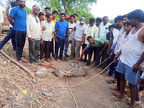 ಮೊಸಳೆ