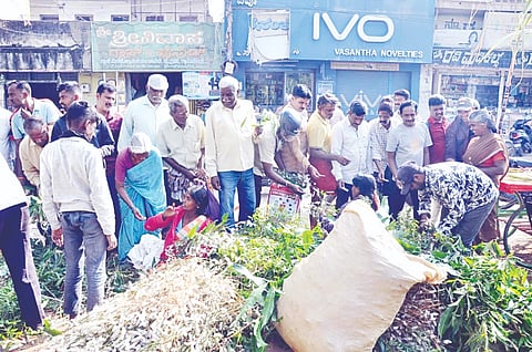 ಂಕ್ರಾಂತಿ ಹಬ್ಬದ ಹಿನ್ನಲೆ ಬುಧವಾರ ಮಾವಿನ ಸೊಪ್ಪಿನ, ಕಟ್ಟುಕಾವಲು ಸೊಪ್ಪನ್ನು ಜನರು ಖರೀದಿ ಮಾಡಿದರು.