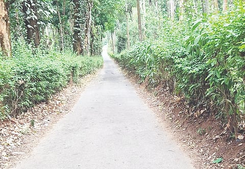 ಊರುಗುಪ್ಪೆ ಪೈಸಾರಿಗೆ ಹೋಗುವ ರಸ್ತೆ.