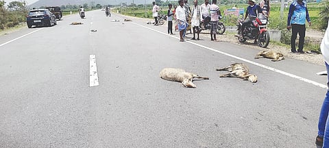 ಕೊಳ್ಳೇಗಾಲ ತಾಲೂಕಿನ ಮಧುವನಹಳ್ಳಿ ಬೈಪಾಸ್ ರಸ್ತೆಯಲ್ಲಿ ಗುರುವಾರ ಕಾರು ಡಿಕ್ಕಿ ಹೊಡೆದು ಮೃತಪಟ್ಟಿರುವುದು.