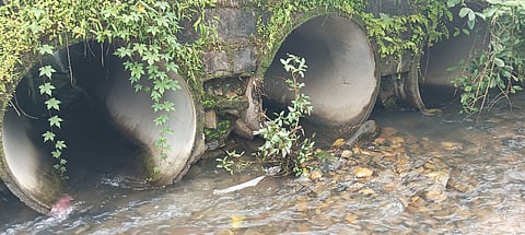 ಶಿಥಿಲ ಸೇತುವೆ 