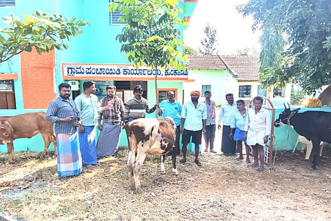ನರೇಗಾ ಯೋಜನೆಯಡಿ ಹಣ ಪಾವತಿಗೆ ಒತ್ತಾಯಿಸಿ ಕುಂಕಾನಾಡು ಗ್ರಾಪಂ ಕಚೇರಿ ದುರು ಹಸುಗಳನ್ನು ಕಟ್ಟಿ ಪ್ರತಿಭಟನೆ ನಡೆಸಲಾಯಿತು.
