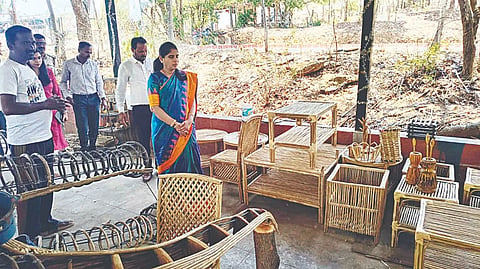 ಹನೂರು ತಾಲೂಕಿನ ಮಲೆ ಮಹದೇಶ್ವರ ಬೆಟ್ಟ ವ್ಯಾಪ್ತಿಯ ಕೀರನಹೊಳೆ ಗ್ರಾಮದಲ್ಲಿರುವ ಲಂಟಾನ ಕೈಗಾರಿಕಾ ಘಟಕಕ್ಕೆ ಡಿಸಿ ಶ್ರೀರೂಪಾ ಭೇಟಿ ನೀಡಿ ಪರಿಶೀಲನೆ ನಡೆಸಿದರು. 